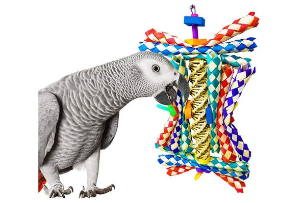 Avian Abacus