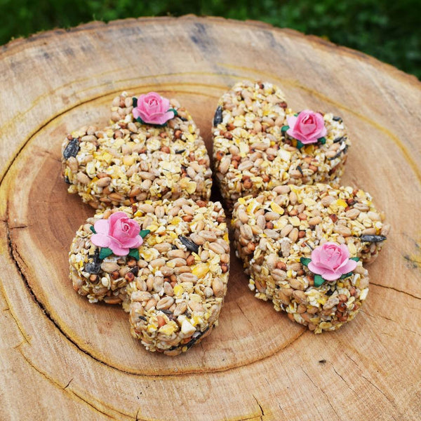 Bird Seed Heart-Treats