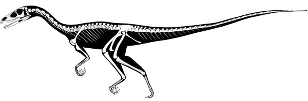 'Dem Ol' Dinosaur Bones - Fools